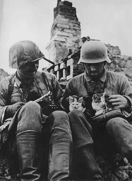 Granaderos alemanes en un pueblo soviético con gatitos, agosto de 1943.