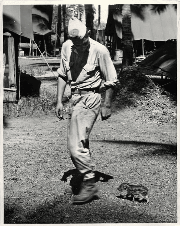 Marine americano perseguido por un pequeño jabalí en algún lugar del Pacífico Sur (1943).