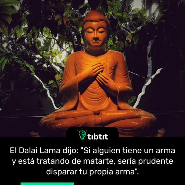 El Dalai Lama dijo: "Si alguien tiene un arma y está tratando de matarte, sería prudente disparar tu propia arma".