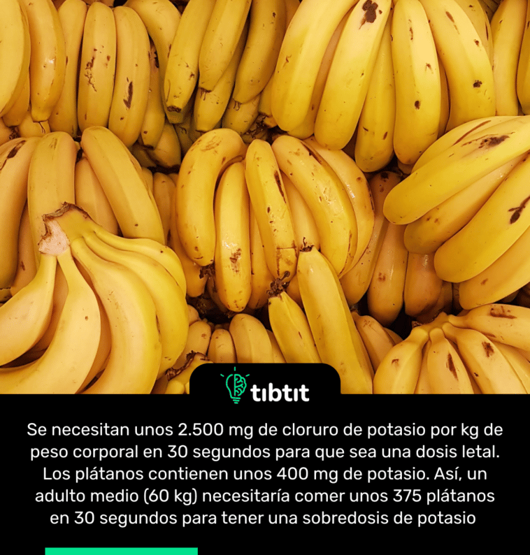 Se necesitan unos 2.500 mg de cloruro de potasio por kg de peso corporal en 30 segundos para que sea una dosis letal. Los plátanos contienen unos 400 mg de potasio. Así, un adulto medio (60 kg) necesitaría comer unos 375 plátanos en 30 segundos para tener una sobredosis de potasio