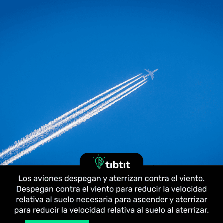 Los aviones despegan y aterrizan contra el viento. Despegan contra el viento para reducir la velocidad relativa al suelo necesaria para ascender y aterrizar para reducir la velocidad relativa al suelo al aterrizar.