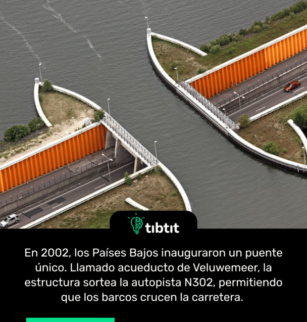En 2002, los PaĂses Bajos inauguraron un puente Ăşnico. Llamado acueducto de Veluwemeer, la estructura sortea la autopista N302, permitiendo que los barcos crucen la carretera.