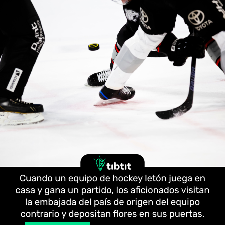 Cuando un equipo de hockey letón juega en casa y gana un partido, los aficionados visitan la embajada del país de origen del equipo contrario y depositan flores en sus puertas.