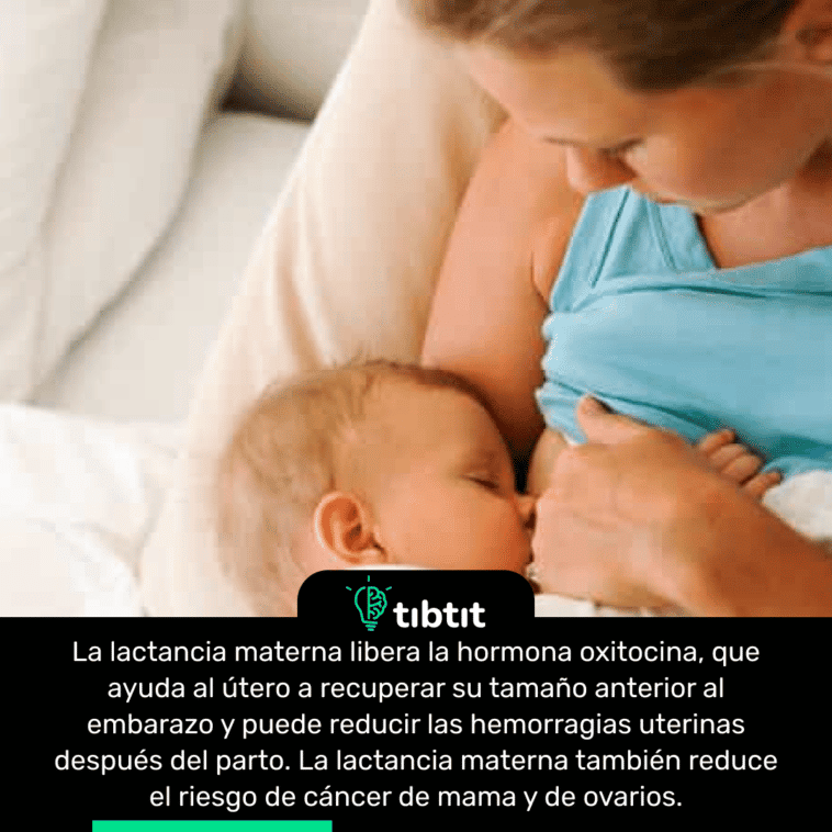 La lactancia materna libera la hormona oxitocina, que ayuda al útero a recuperar su tamaño anterior al embarazo y puede reducir las hemorragias uterinas después del parto. La lactancia materna también reduce el riesgo de cáncer de mama y de ovarios.