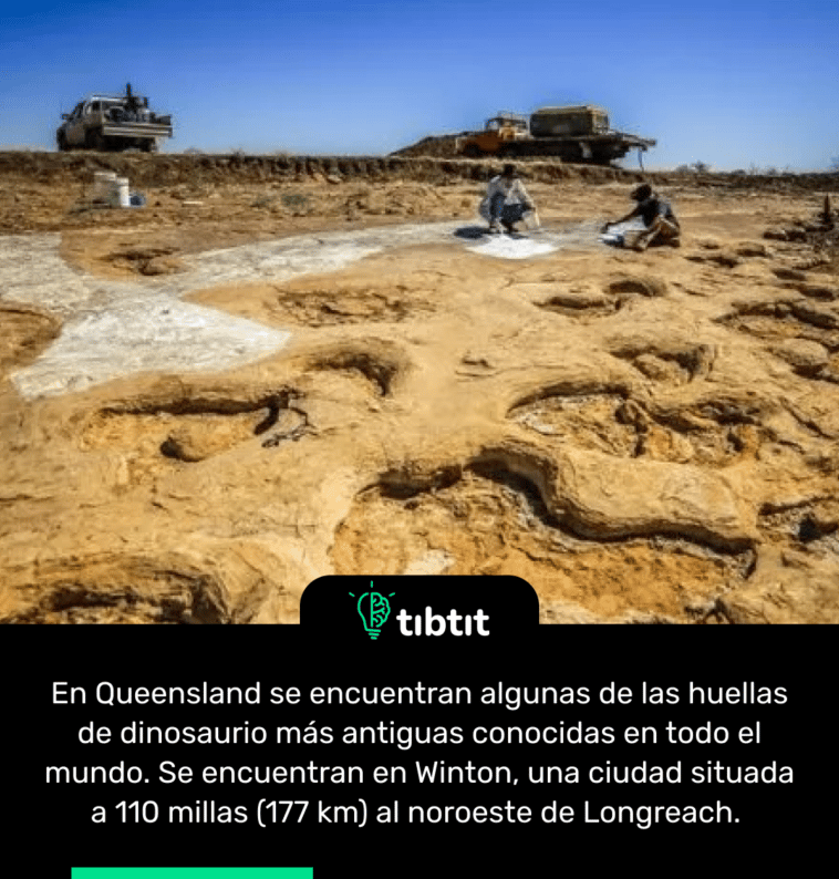 En Queensland se encuentran algunas de las huellas de dinosaurio más antiguas conocidas en todo el mundo. Se encuentran en Winton, una ciudad situada a 110 millas (177 km) al noroeste de Longreach.