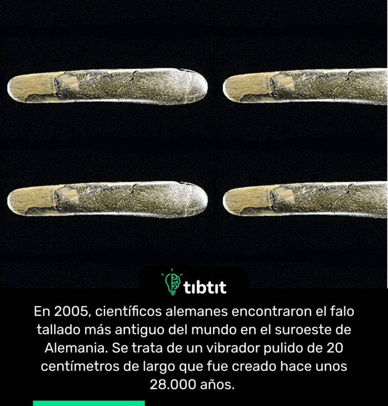En 2005, científicos alemanes encontraron el falo tallado más antiguo del mundo en el suroeste de Alemania. Se trata de un vibrador pulido de 20 centímetros de largo que fue creado hace unos 28.000 años.