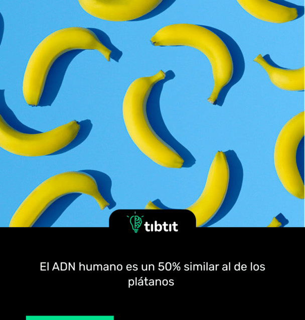 El ADN humano es un 50% similar al de los plátanos