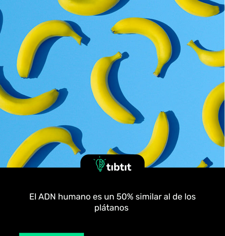 El ADN humano es un 50% similar al de los plátanos