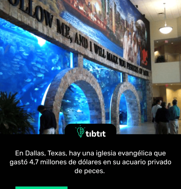 En Dallas, Texas, hay una iglesia evangélica que gastó 4,7 millones de dólares en su acuario privado de peces.
