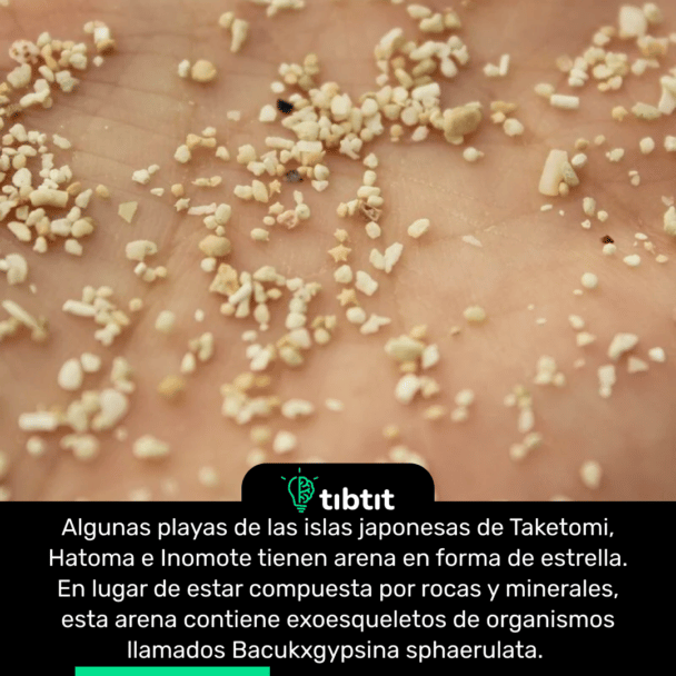 Algunas playas de las islas japonesas de Taketomi, Hatoma e Inomote tienen arena en forma de estrella. En lugar de estar compuesta por rocas y minerales, esta arena contiene exoesqueletos de organismos llamados Bacukxgypsina sphaerulata.