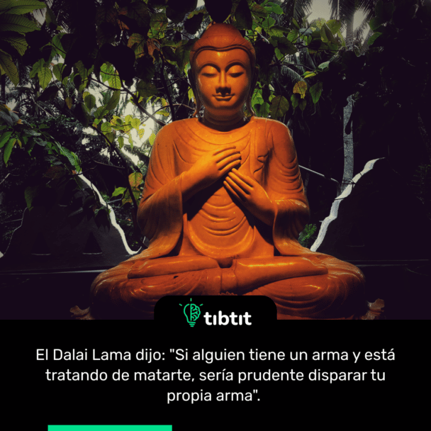 El Dalai Lama dijo: "Si alguien tiene un arma y está tratando de matarte, sería prudente disparar tu propia arma".