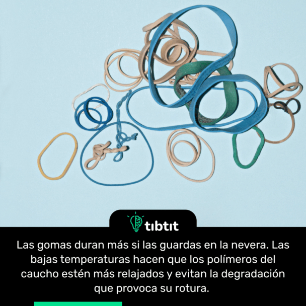 Las gomas duran más si las guardas en la nevera. Las bajas temperaturas hacen que los polĂmeros del caucho estĂ©n más relajados y evitan la degradaciĂłn que provoca su rotura.