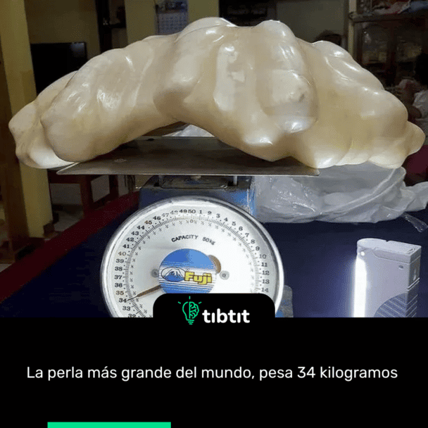 La perla más grande del mundo, pesa 34 kilogramos