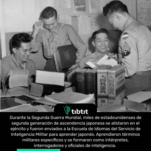Durante la Segunda Guerra Mundial, miles de estadounidenses de segunda generación de ascendencia japonesa se alistaron en el ejército y fueron enviados a la Escuela de Idiomas del Servicio de Inteligencia Militar para aprender japonés. Aprendieron términos militares específicos y se formaron como intérpretes, interrogadores y oficiales de inteligencia.