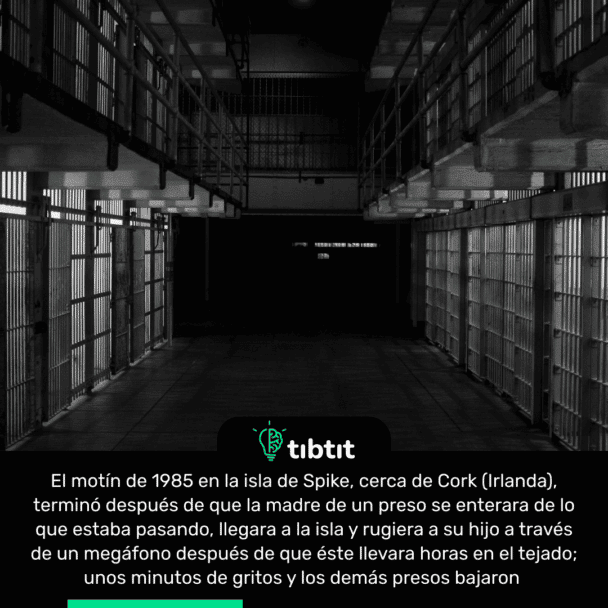 El motín de 1985 en la isla de Spike, cerca de Cork (Irlanda), terminó después de que la madre de un preso se enterara de lo que estaba pasando, llegara a la isla y rugiera a su hijo a través de un megáfono después de que éste llevara horas en el tejado; unos minutos de gritos y los demás presos bajaron