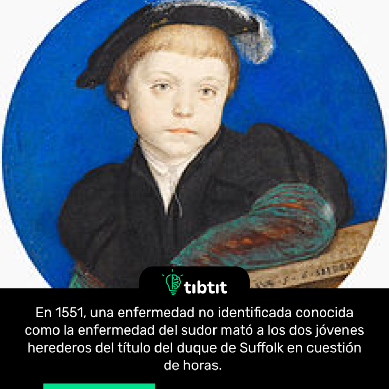 En 1551, una enfermedad no identificada conocida como la enfermedad del sudor mató a los dos jóvenes herederos del título del duque de Suffolk en cuestión de horas.