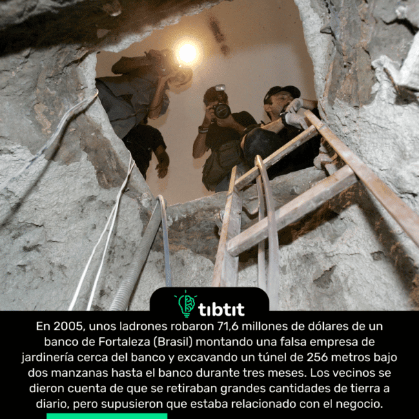 En 2005, unos ladrones robaron 71,6 millones de dólares de un banco de Fortaleza (Brasil) montando una falsa empresa de jardinería cerca del banco y excavando un túnel de 256 metros bajo dos manzanas hasta el banco durante tres meses. Los vecinos se dieron cuenta de que se retiraban grandes cantidades de tierra a diario, pero supusieron que estaba relacionado con el negocio.