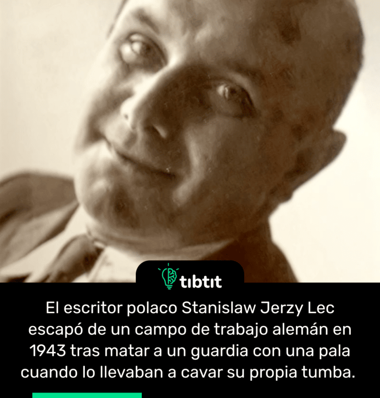 El escritor polaco Stanislaw Jerzy Lec escapó de un campo de trabajo alemán en 1943 tras matar a un guardia con una pala cuando lo llevaban a cavar su propia tumba.
