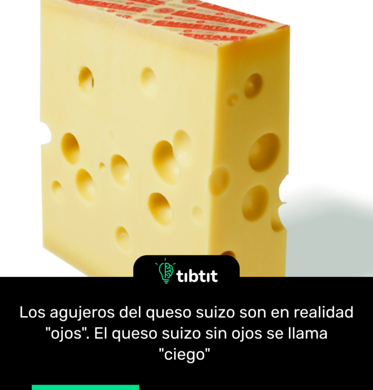 Los agujeros del queso suizo son en realidad "ojos". El queso suizo sin ojos se llama "ciego"