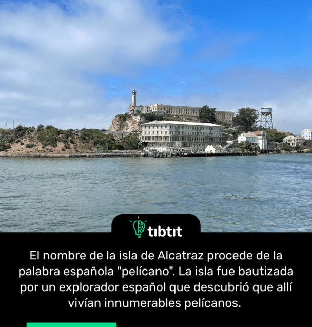 El nombre de la isla de Alcatraz procede de la palabra española "pelícano". La isla fue bautizada por un explorador español que descubrió que allí vivían innumerables pelícanos.