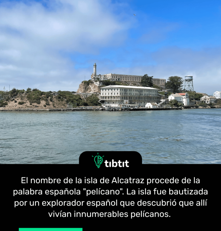 El nombre de la isla de Alcatraz procede de la palabra española "pelícano". La isla fue bautizada por un explorador español que descubrió que allí vivían innumerables pelícanos.