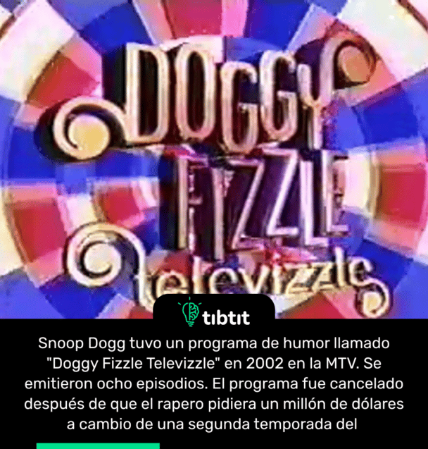 Snoop Dogg tuvo un programa de humor llamado "Doggy Fizzle Televizzle" en 2002 en la MTV. Se emitieron ocho episodios. El programa fue cancelado después de que el rapero pidiera un millón de dólares a cambio de una segunda temporada del