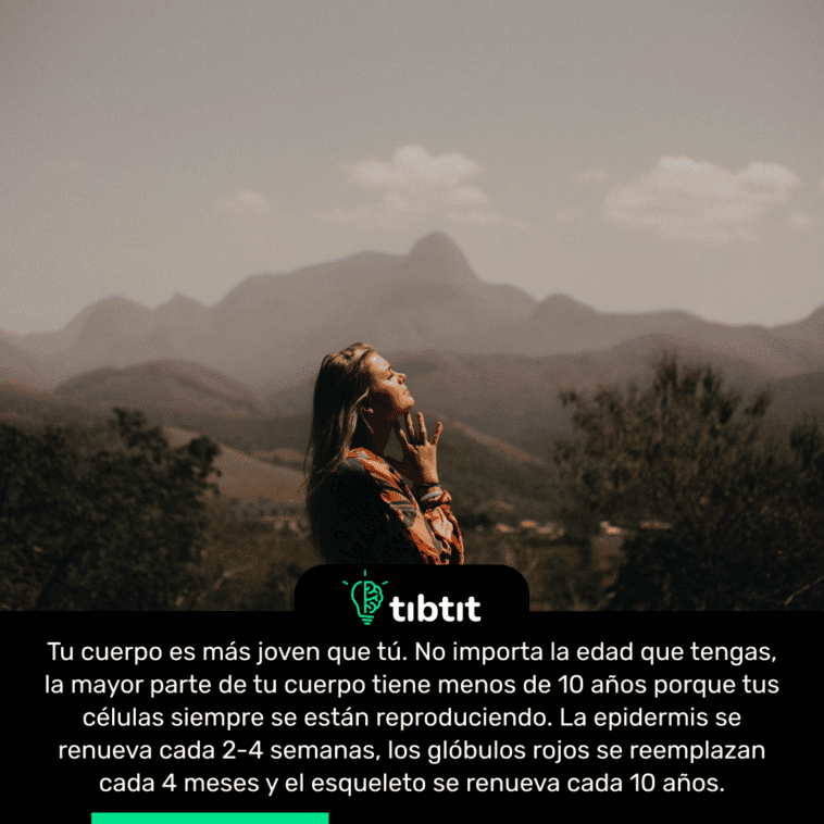 Tu cuerpo es más joven que tú. No importa la edad que tengas, la mayor parte de tu cuerpo tiene menos de 10 años porque tus células siempre se están reproduciendo. La epidermis se renueva cada 2-4 semanas, los glóbulos rojos se reemplazan cada 4 meses y el esqueleto se renueva cada 10 años.