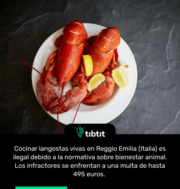 Cocinar langostas vivas en Reggio Emilia (Italia) es ilegal debido a la normativa sobre bienestar animal. Los infractores se enfrentan a una multa de hasta 495 euros.