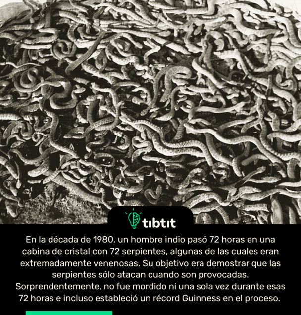 En la década de 1980, un hombre indio pasó 72 horas en una cabina de cristal con 72 serpientes, algunas de las cuales eran extremadamente venenosas. Su objetivo era demostrar que las serpientes sólo atacan cuando son provocadas. Sorprendentemente, no fue mordido ni una sola vez durante esas 72 horas e incluso estableció un récord Guinness en el proceso.