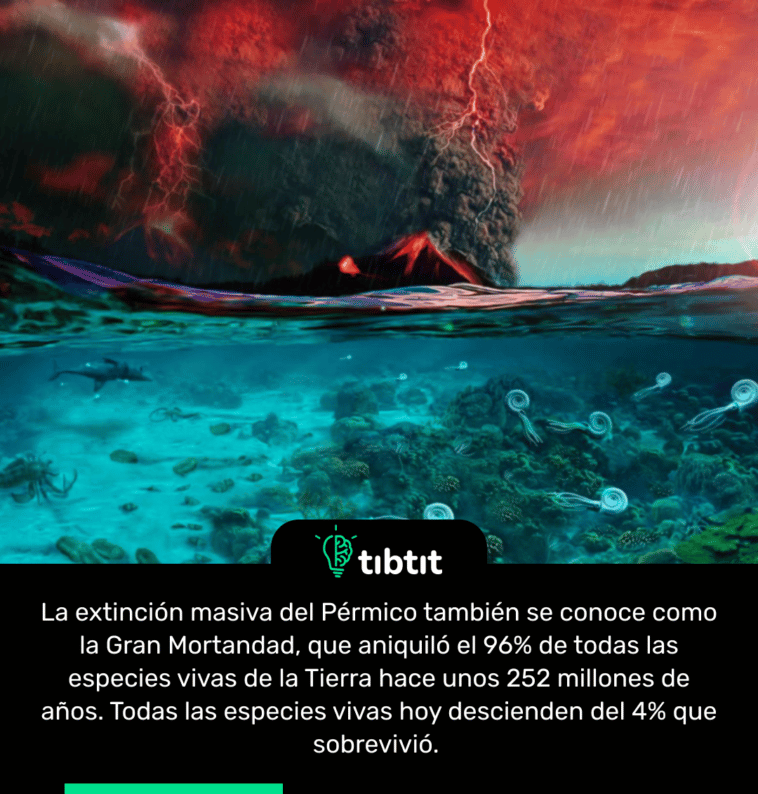 La extinción masiva del Pérmico también se conoce como la Gran Mortandad, que aniquiló el 96% de todas las especies vivas de la Tierra hace unos 252 millones de años. Todas las especies vivas hoy descienden del 4% que sobrevivió.