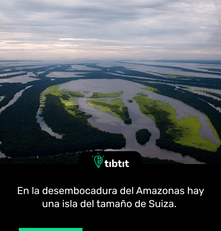 En la desembocadura del Amazonas hay una isla del tamaño de Suiza.