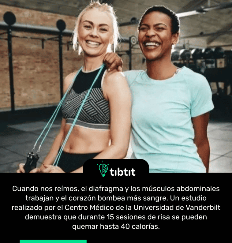 Cuando nos reímos, el diafragma y los músculos abdominales trabajan y el corazón bombea más sangre. Un estudio realizado por el Centro Médico de la Universidad de Vanderbilt demuestra que durante 15 sesiones de risa se pueden quemar hasta 40 calorías.