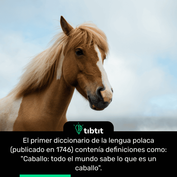 El primer diccionario de la lengua polaca (publicado en 1746) contenía definiciones como: "Caballo: todo el mundo sabe lo que es un caballo".