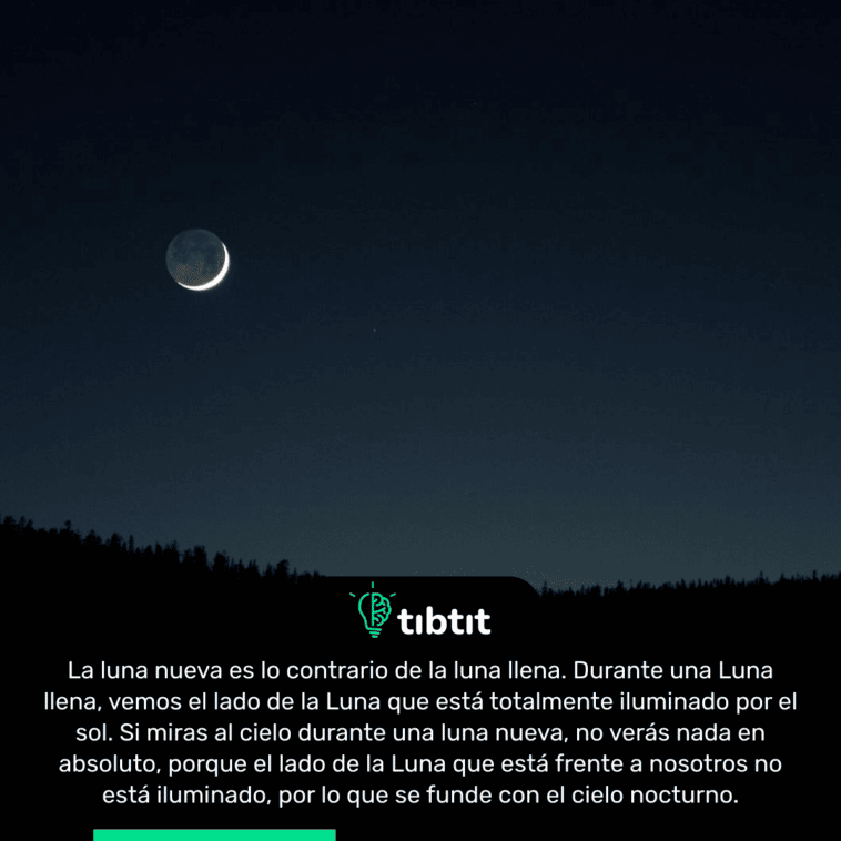 La luna nueva es lo contrario de la luna llena. Durante una Luna llena, vemos el lado de la Luna que está totalmente iluminado por el sol. Si miras al cielo durante una luna nueva, no verás nada en absoluto, porque el lado de la Luna que está frente a nosotros no está iluminado, por lo que se funde con el cielo nocturno.