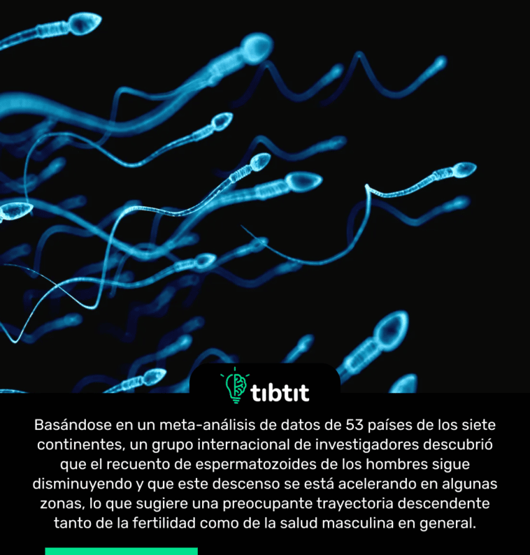 Basándose en un meta-análisis de datos de 53 países de los siete continentes, un grupo internacional de investigadores descubrió que el recuento de espermatozoides de los hombres sigue disminuyendo y que este descenso se está acelerando en algunas zonas, lo que sugiere una preocupante trayectoria descendente tanto de la fertilidad como de la salud masculina en general.