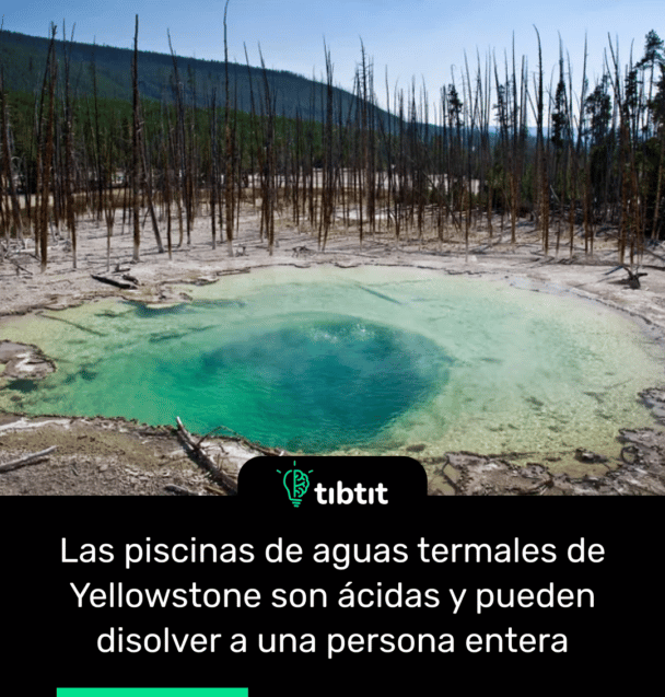 Las piscinas de aguas termales de Yellowstone son ácidas y pueden disolver a una persona entera