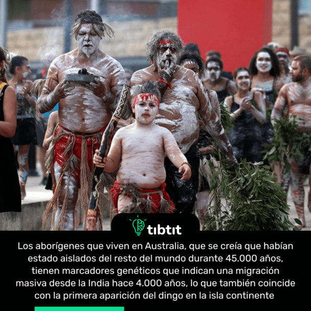 Los aborígenes que viven en Australia, que se creía que habían estado aislados del resto del mundo durante 45.000 años, tienen marcadores genéticos que indican una migración masiva desde la India hace 4.000 años, lo que también coincide con la primera aparición del dingo en la isla continente