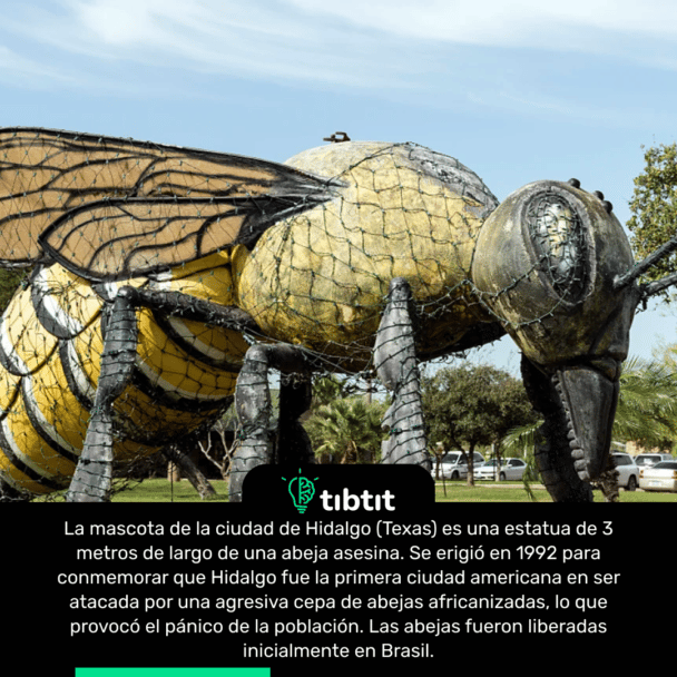 La mascota de la ciudad de Hidalgo (Texas) es una estatua de 3 metros de largo de una abeja asesina. Se erigió en 1992 para conmemorar que Hidalgo fue la primera ciudad americana en ser atacada por una agresiva cepa de abejas africanizadas, lo que provocó el pánico de la población. Las abejas fueron liberadas inicialmente en Brasil.
