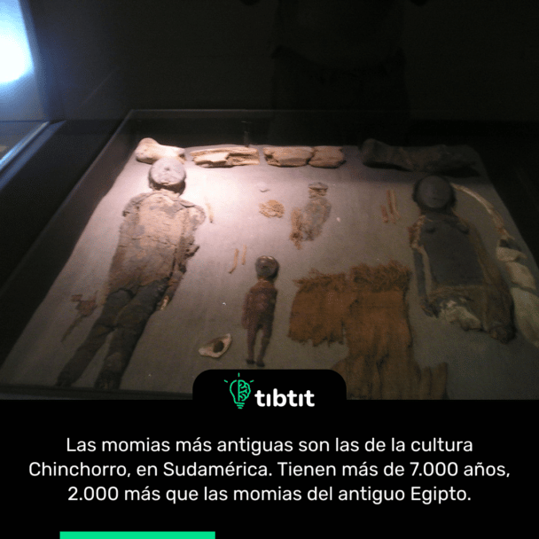 Las momias más antiguas son las de la cultura Chinchorro, en Sudamérica. Tienen más de 7.000 años, 2.000 más que las momias del antiguo Egipto.