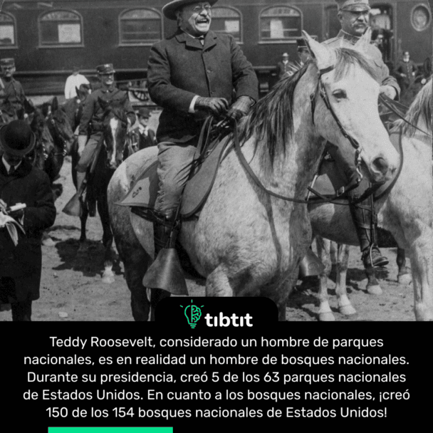 Teddy Roosevelt, considerado un hombre de parques nacionales, es en realidad un hombre de bosques nacionales. Durante su presidencia, creó 5 de los 63 parques nacionales de Estados Unidos. En cuanto a los bosques nacionales, ¡creó 150 de los 154 bosques nacionales de Estados Unidos!