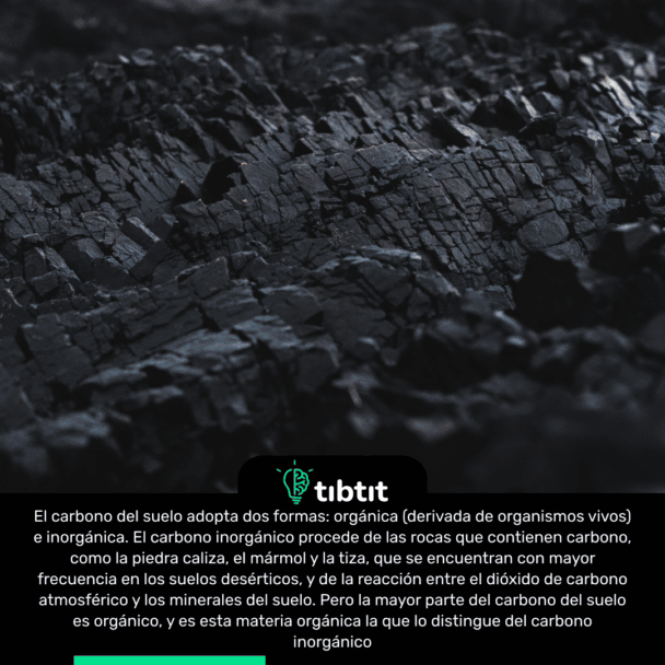 El carbono del suelo adopta dos formas: orgánica (derivada de organismos vivos) e inorgánica. El carbono inorgánico procede de las rocas que contienen carbono, como la piedra caliza, el mármol y la tiza, que se encuentran con mayor frecuencia en los suelos desérticos, y de la reacción entre el dióxido de carbono atmosférico y los minerales del suelo. Pero la mayor parte del carbono del suelo es orgánico, y es esta materia orgánica la que lo distingue del carbono inorgánico