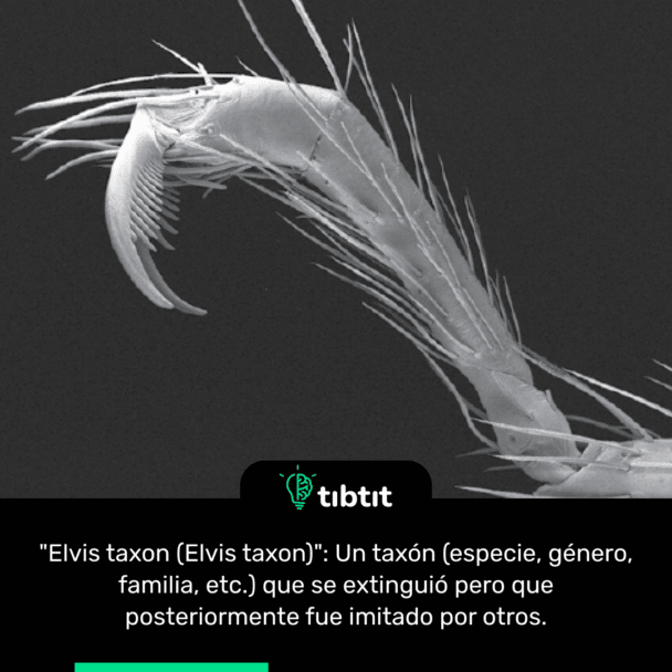 "Elvis taxon (Elvis taxon)": Un taxón (especie, género, familia, etc.) que se extinguió pero que posteriormente fue imitado por otros.