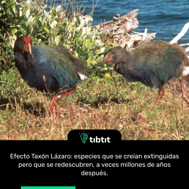 Efecto Taxón Lázaro: especies que se creían extinguidas pero que se redescubren, a veces millones de años después.