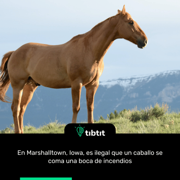 En Marshalltown, Iowa, es ilegal que un caballo se coma una boca de incendios