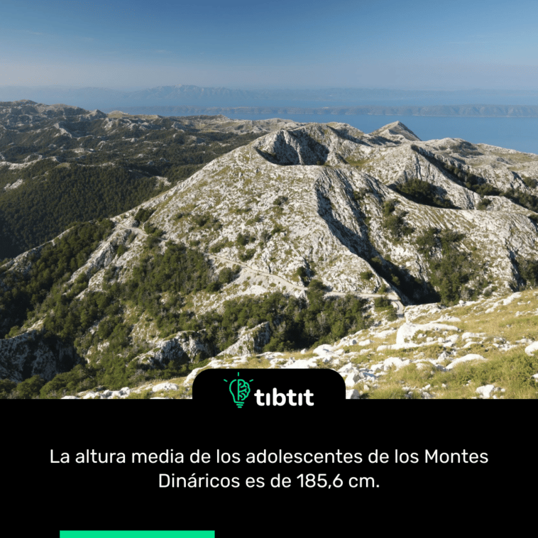 La altura media de los adolescentes de los Montes Dináricos es de 185,6 cm.
