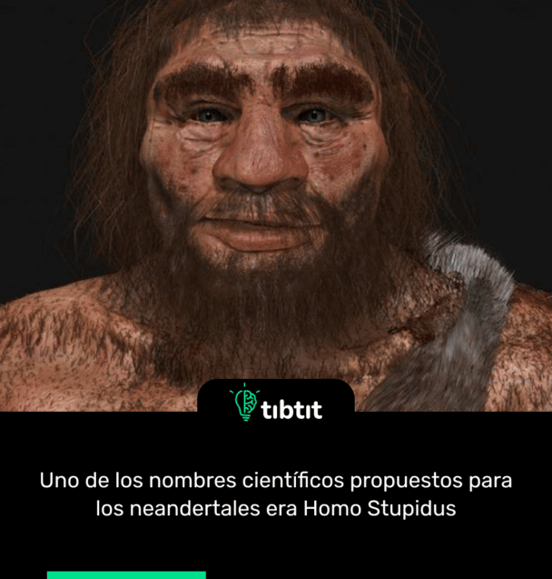 Uno de los nombres científicos propuestos para los neandertales era Homo Stupidus