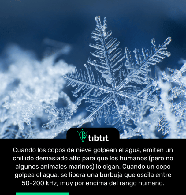 Cuando los copos de nieve golpean el agua, emiten un chillido demasiado alto para que los humanos (pero no algunos animales marinos) lo oigan. Cuando un copo golpea el agua, se libera una burbuja que oscila entre 50-200 kHz, muy por encima del rango humano.