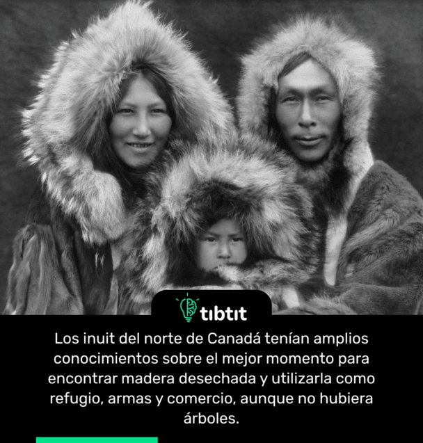 Los inuit del norte de Canadá tenían amplios conocimientos sobre el mejor momento para encontrar madera desechada y utilizarla como refugio, armas y comercio, aunque no hubiera árboles.