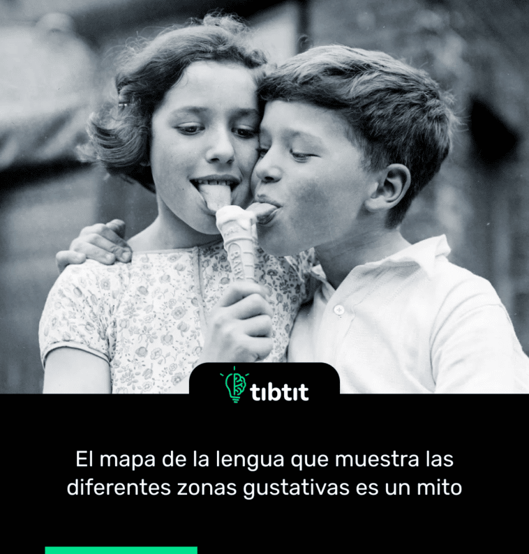 El mapa de la lengua que muestra las diferentes zonas gustativas es un mito