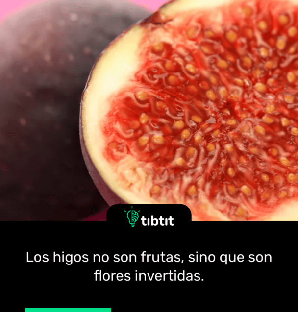 Los higos no son frutas, sino que son flores invertidas.